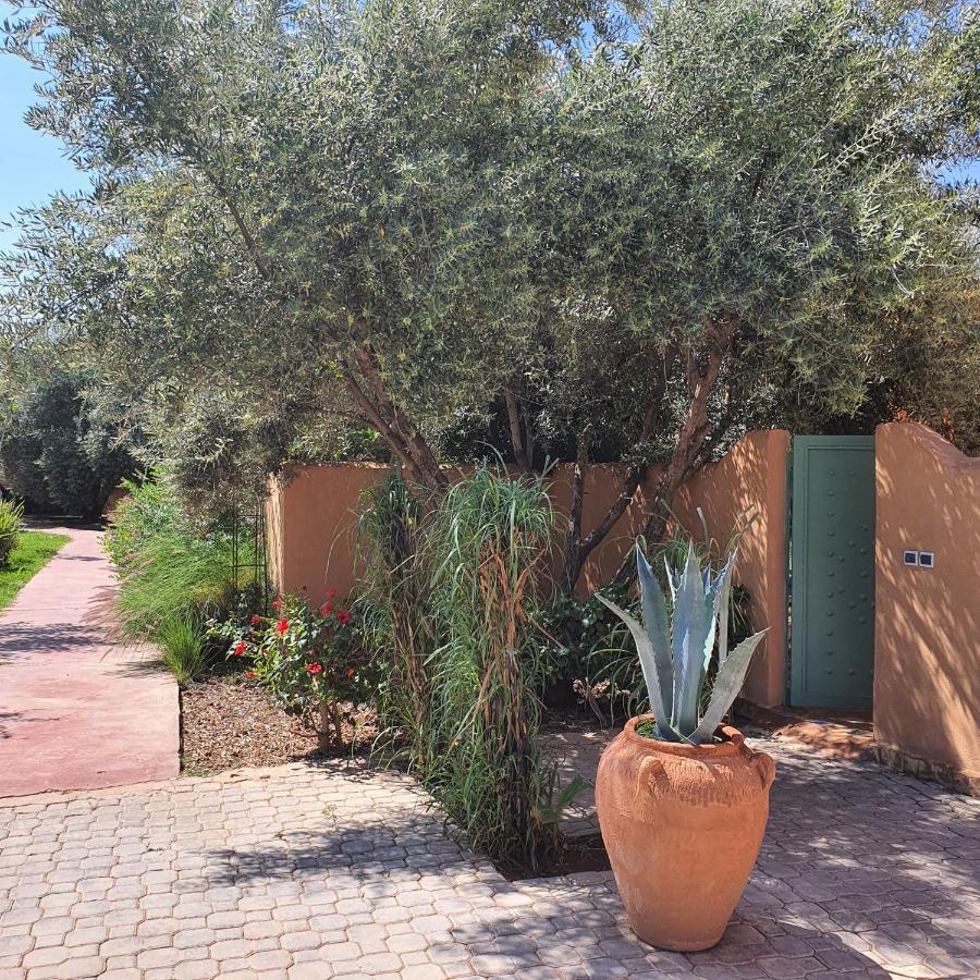 Riad Dar Gonzo Resort&spa