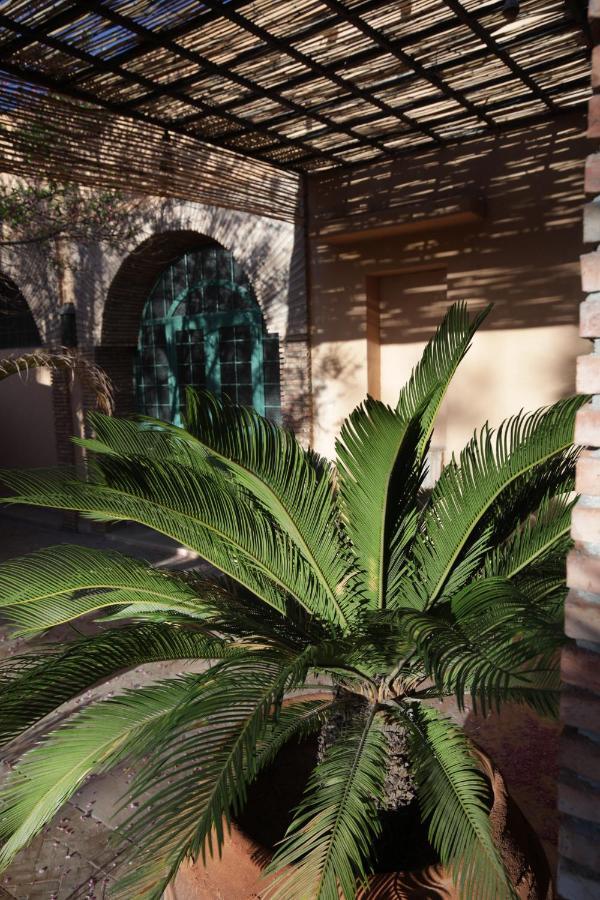 Dar Gonzo Resort&spa