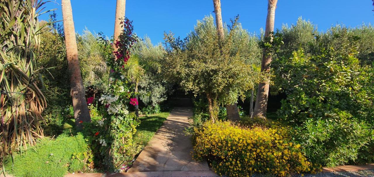 Riad Dar Gonzo Resort&spa