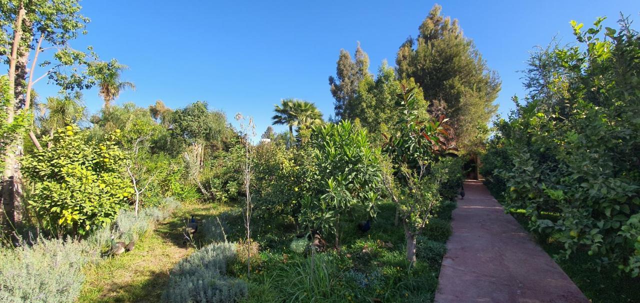 Dar Gonzo Resort&spa