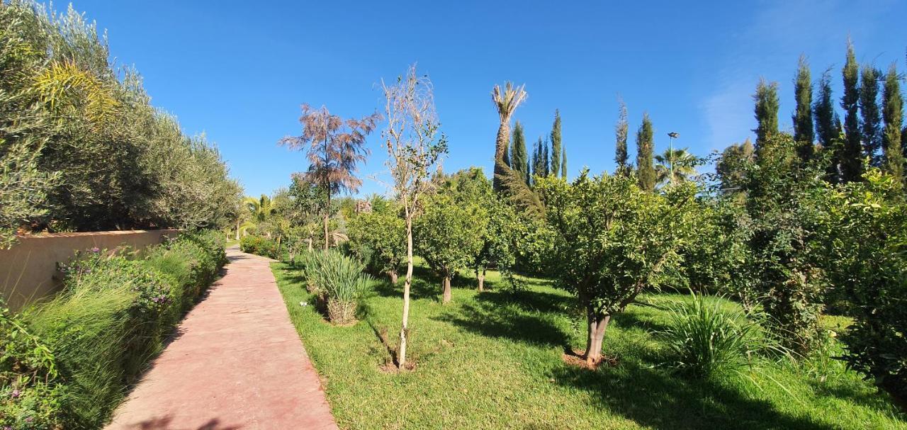 Dar Gonzo Resort&spa Riad Marrakesch