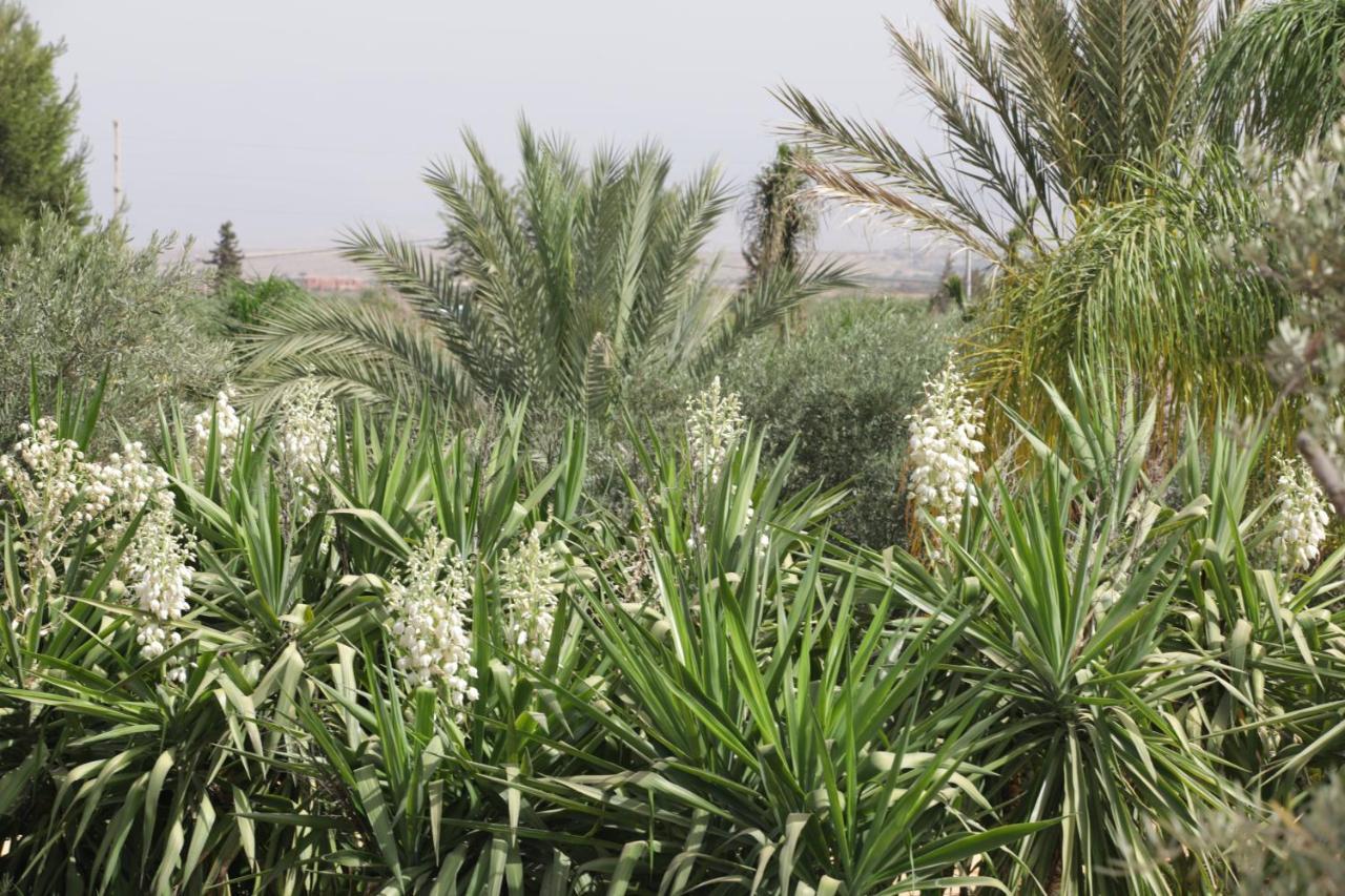 Dar Gonzo Resort&spa Riad 3*
